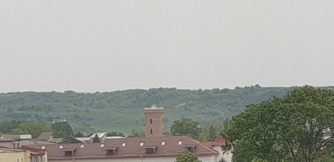 Hellen Apartament Tergovistye Kültér fotó